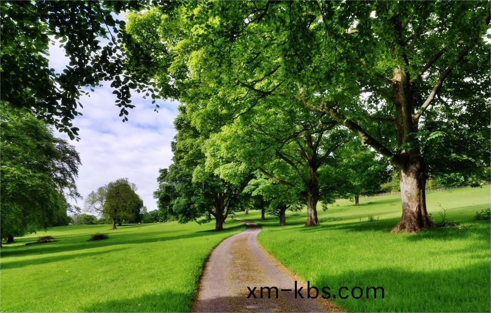 《“十四五”譟(zao)聲汚染防治行(xing)動計劃(hua)》重磅髮佈!- 